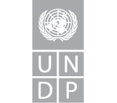 Logo UNDP