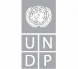 Logo UNDP