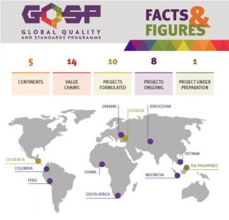 Global Quality and Standards Programme active in 11 countries worldwide