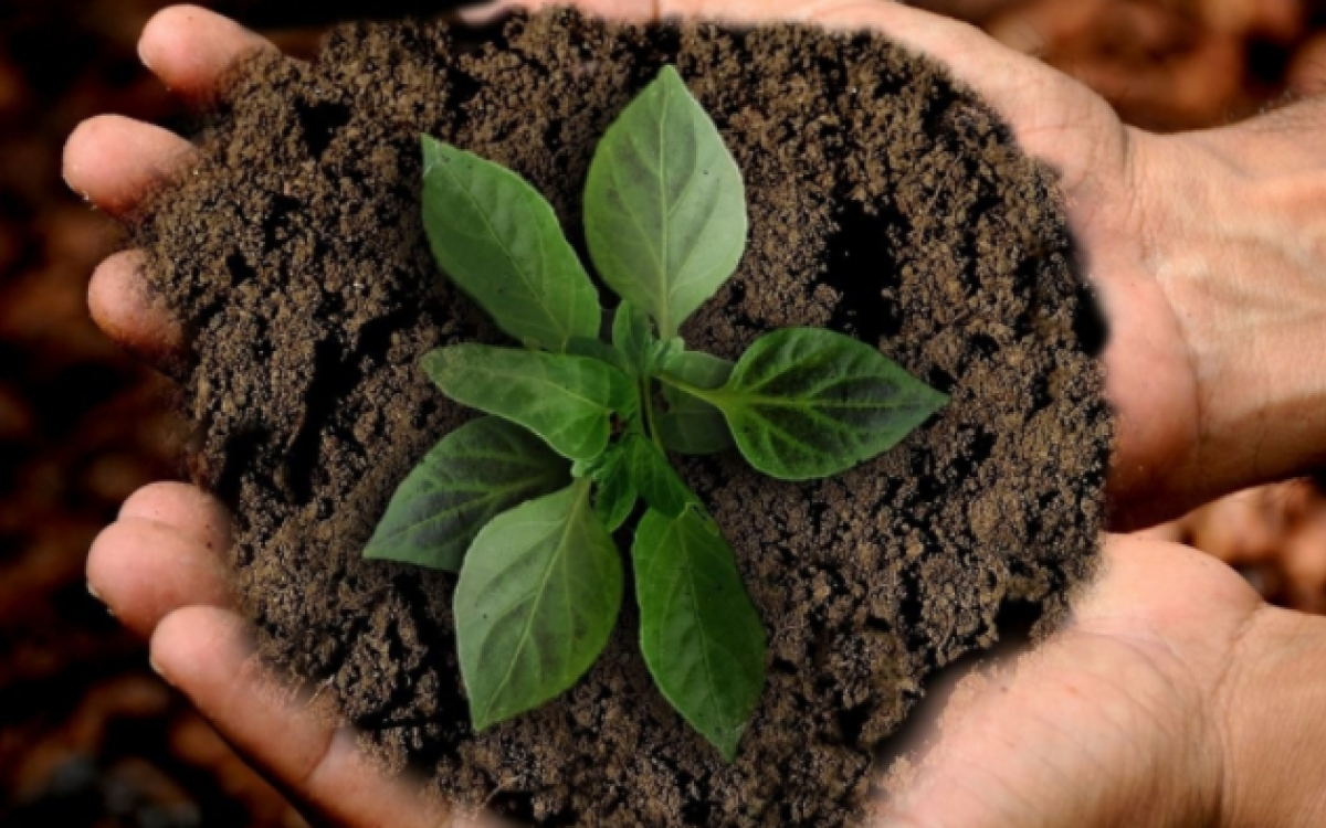 Promoting partnerships for sustainability – UNIDO continues to support the United Nations Forum on Sustainability Standards