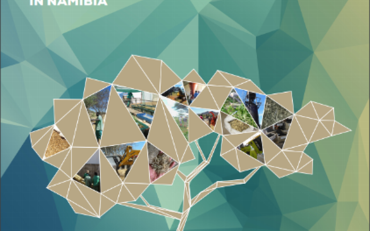 Strategic Action Plan for Sustainable Bush Value Chains in Namibia