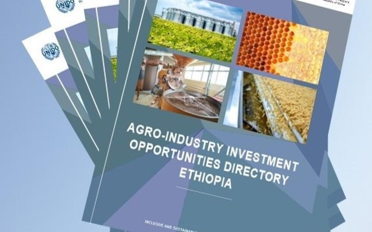 New Investment Opportunities in Ethiopia’s Agro-Industry
