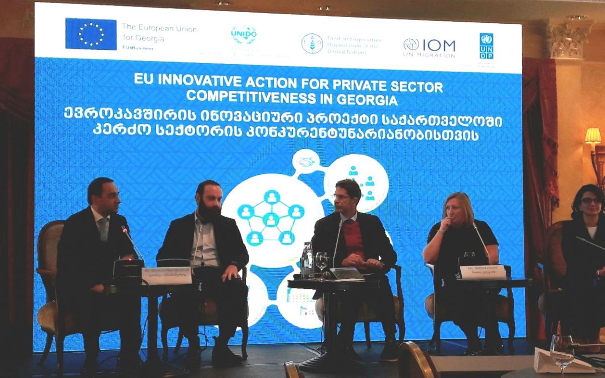 Promoting clusters and competitive business in Georgia