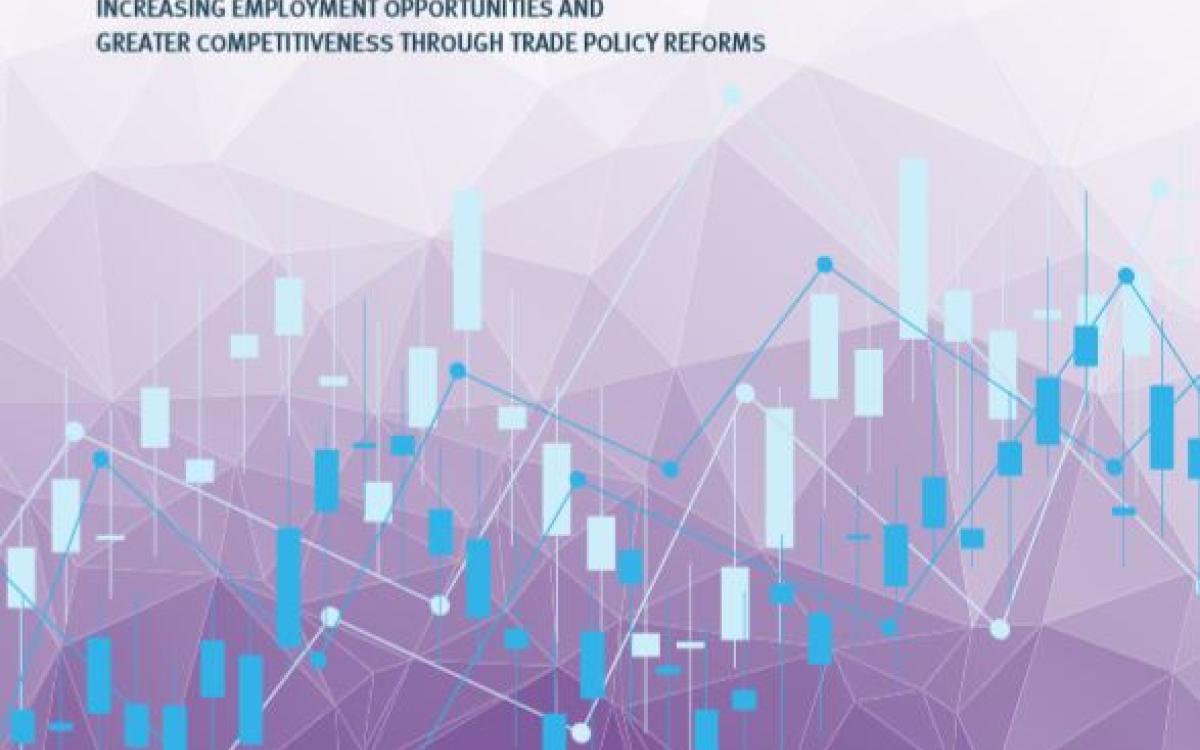 UNIDO support Aid for Trade Initiative for Arab States